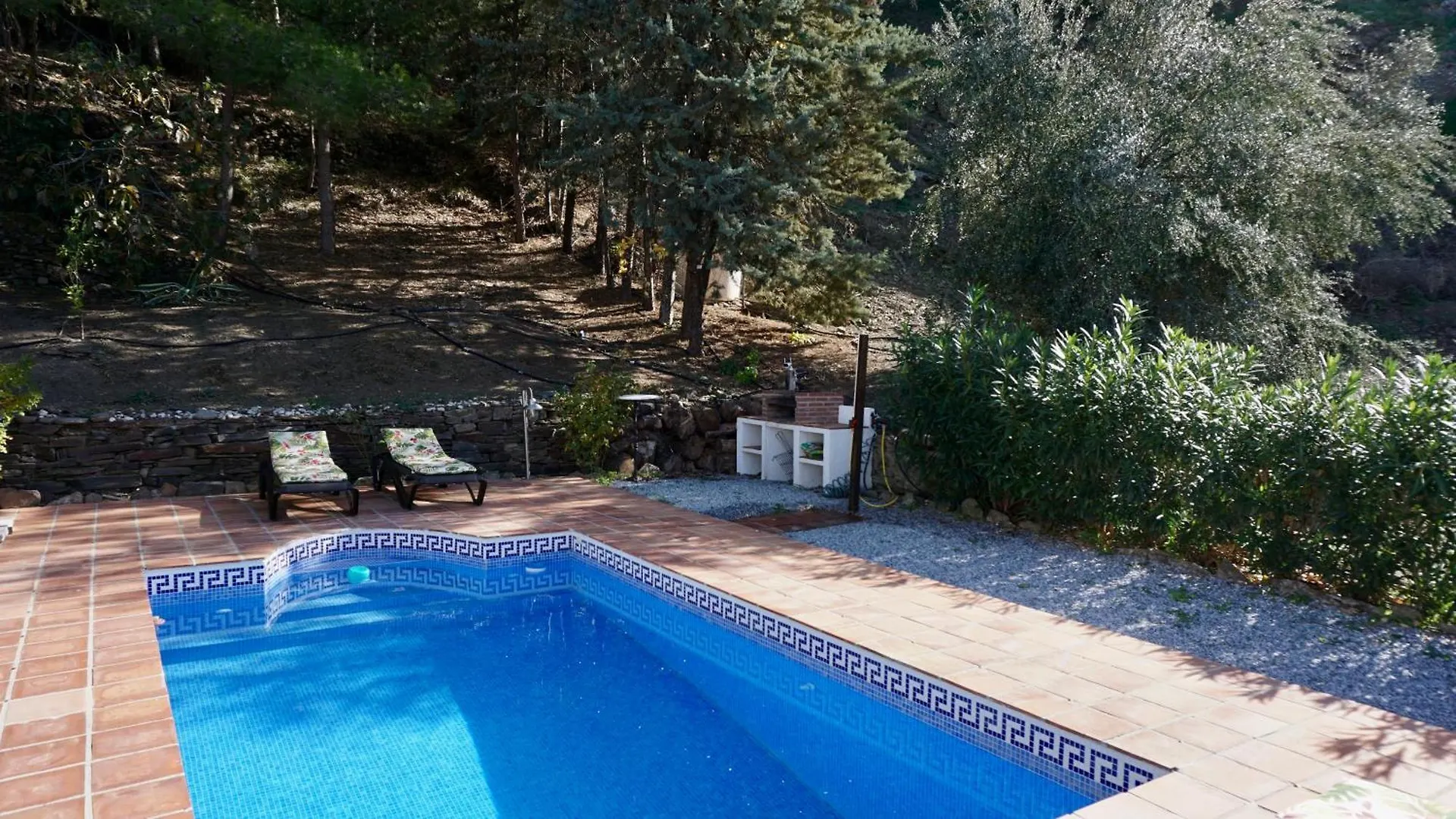 Los Olivos Sayalonga Spagna